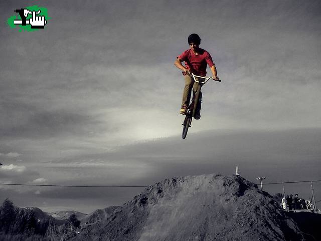 whip