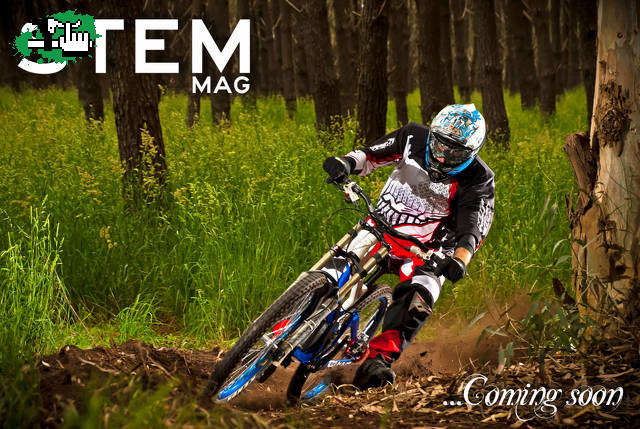 Revista STEM
