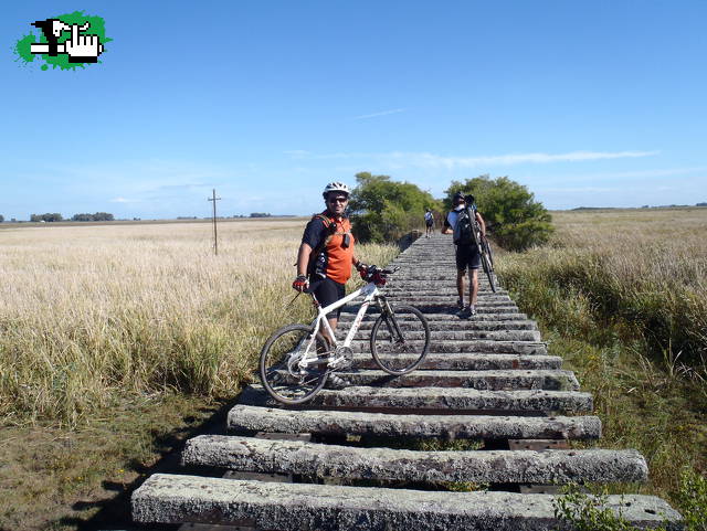 Nocturna a Chascomus