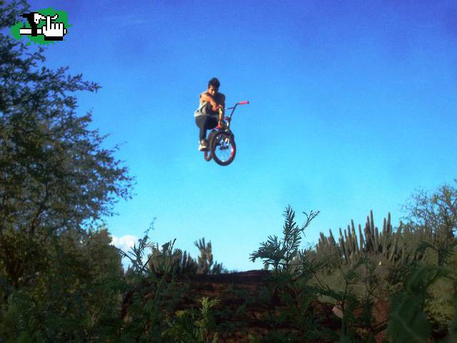 dirt...