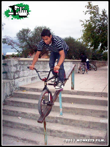 CHINO BMX - Double Peg
