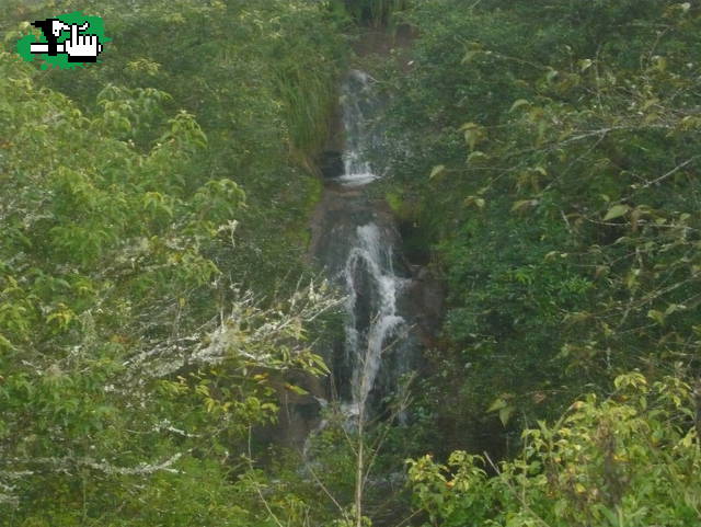 NUBOSELVA, ecosistema de YUNGAS