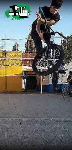 Bunny barspin.