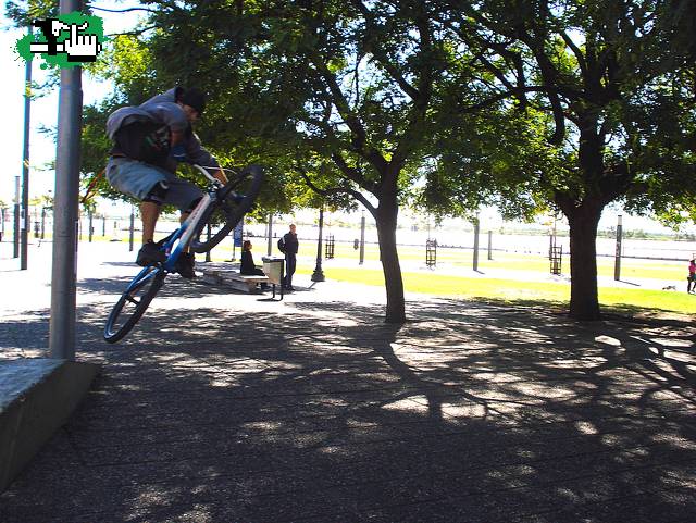 Salio lo que salio! jaja