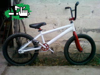 peke10