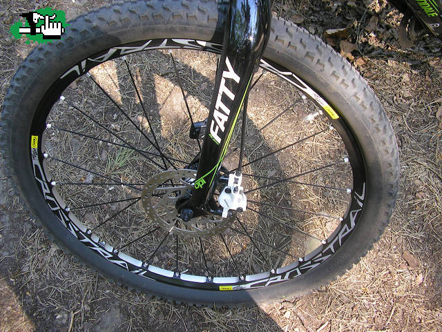 Fatty carbono no?