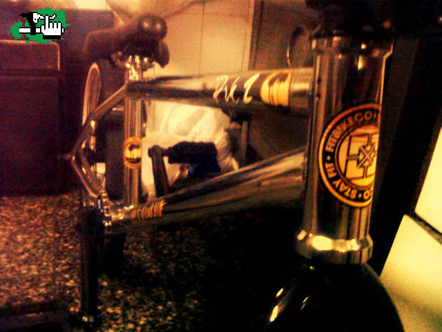 Bike Check 01/05/10