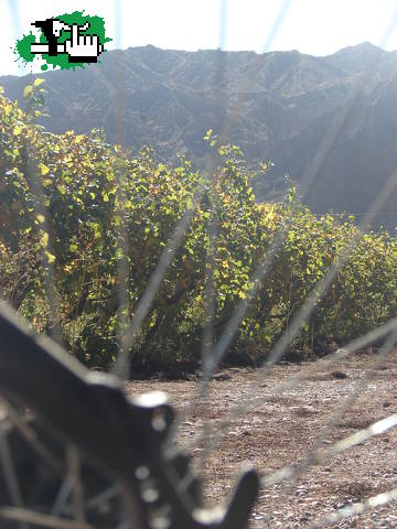 San Juan es: Uva. Montaña y MTB