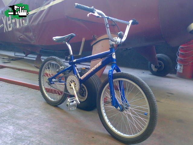 mongoose outer limit 2000 mx