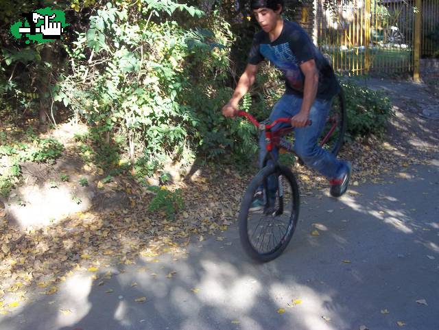 nose manual