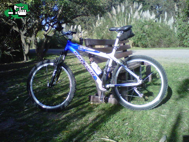 Poniendome en forma en la reserva