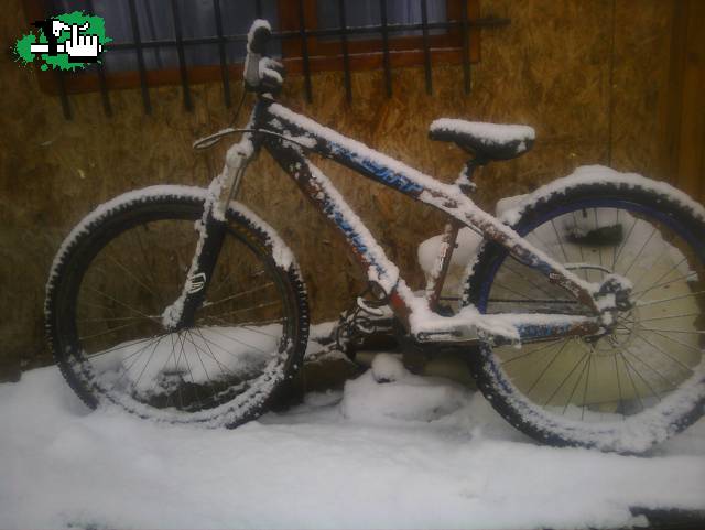 nieves en ushuia?