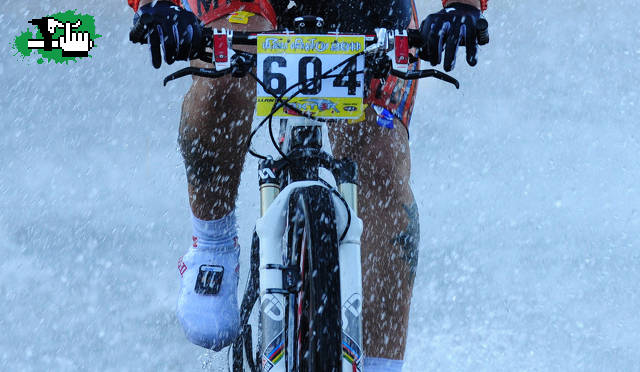 RIO PINTO 2011