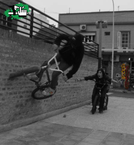 Wallride.