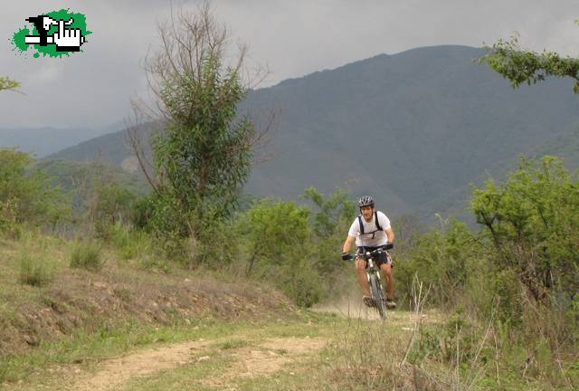 Andando