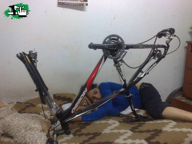 mis 2 amores descansando