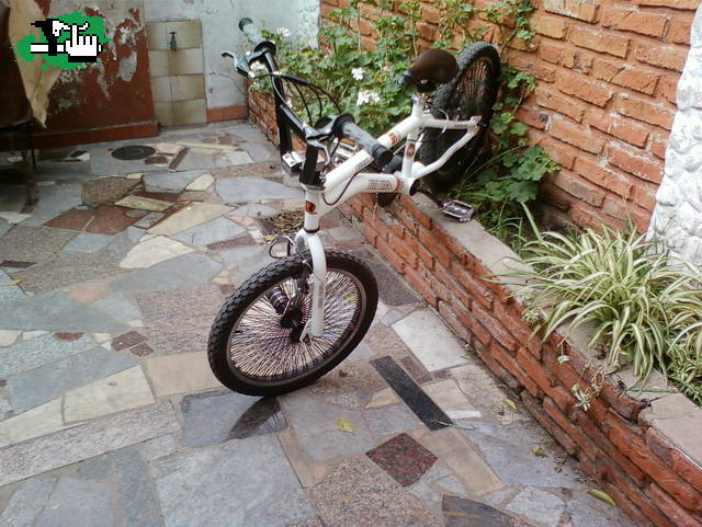 Bmx Fire Bird