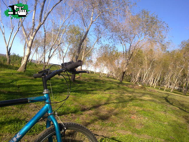 La Plata- Tolosa- Punta Lara