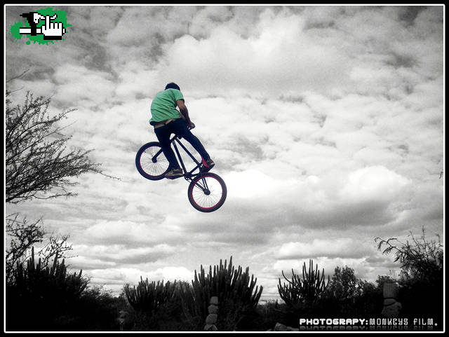Chino BMX - Lockdown