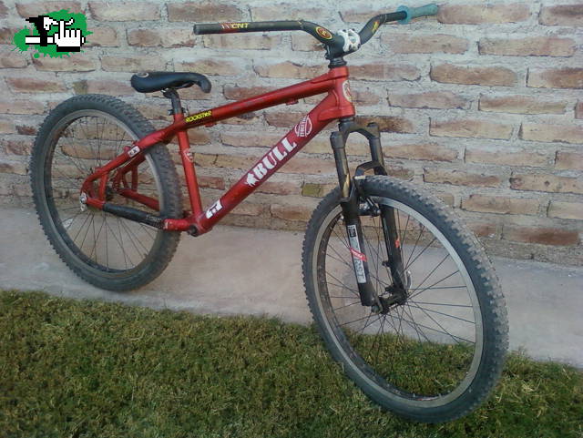 kalf BULL
