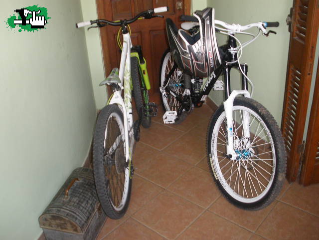Mis bebes!