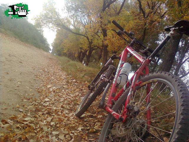 una tarde con mi colorada!