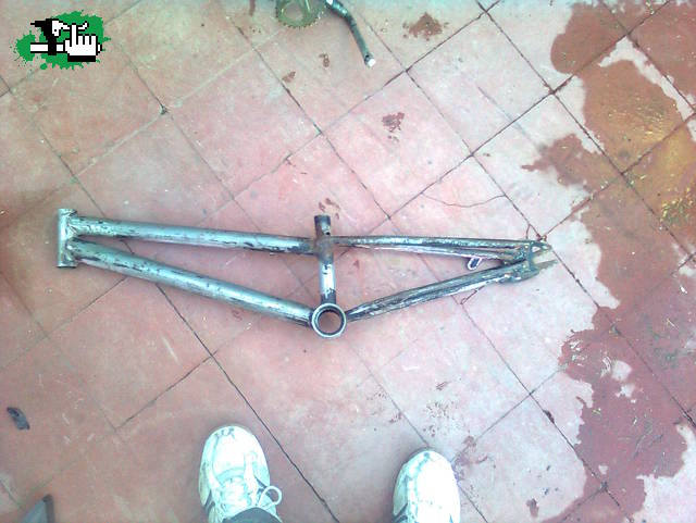 progresando 