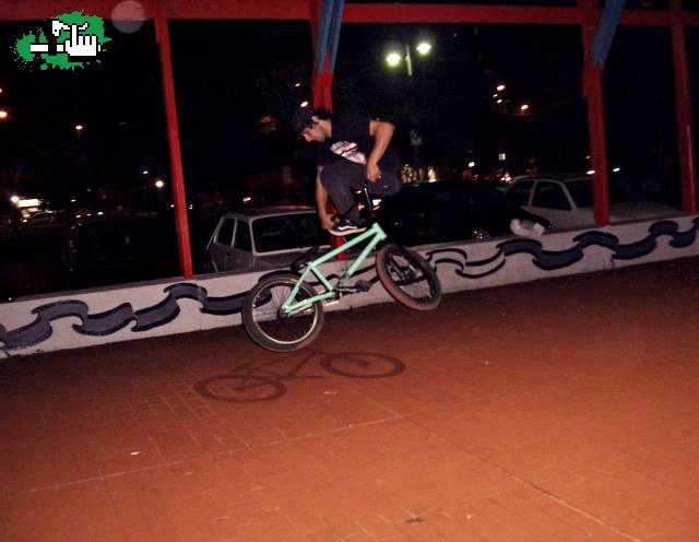 Tailwhip de bunny