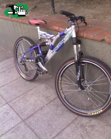 bici robada