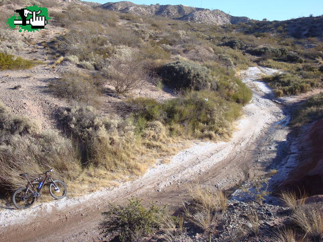 Salida del sabado
