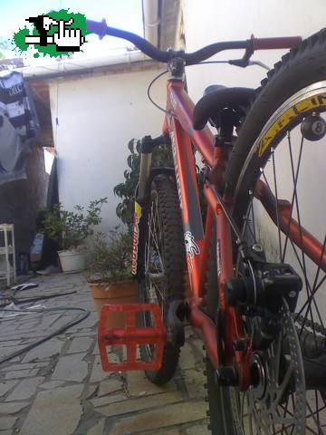 esta es mi bb! mi amor! MI NAVE! saludos!
