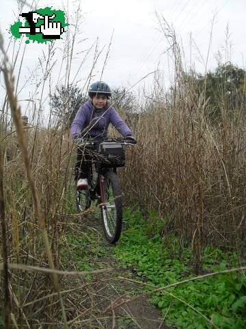 Milagros! Explorando nuevos caminos,