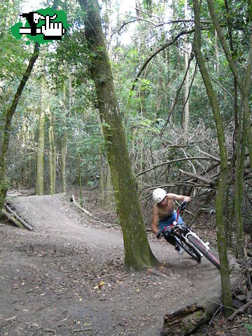 Peralte Suicida (Parque Pereyra)