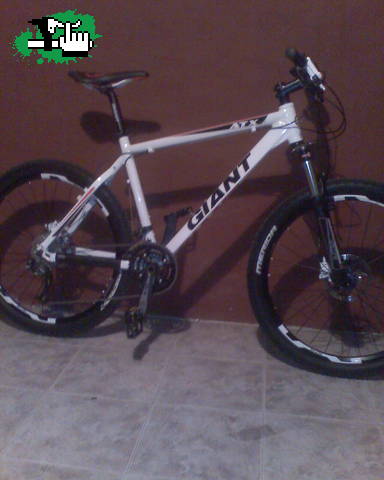 listo mi gitana por ahora