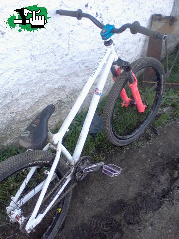 lucas_14