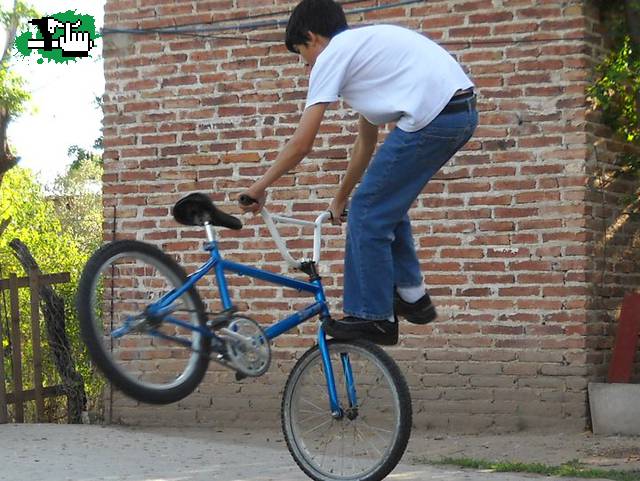 Freestyle tailwhip