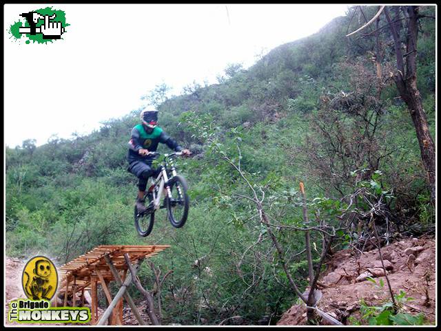 en mi creacion 