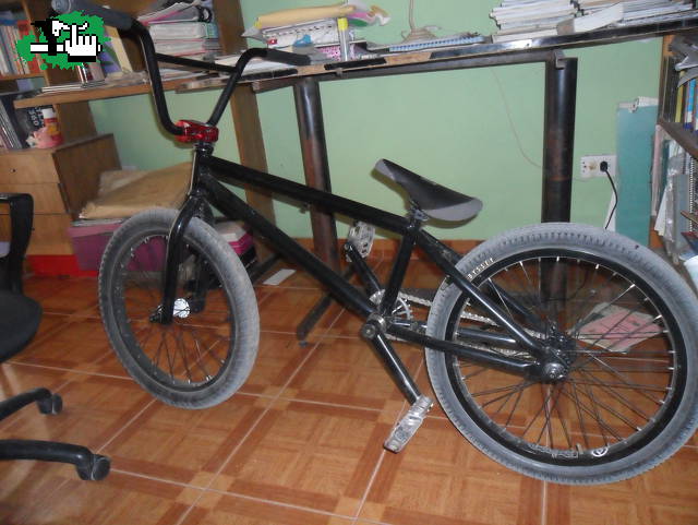 perry_bike