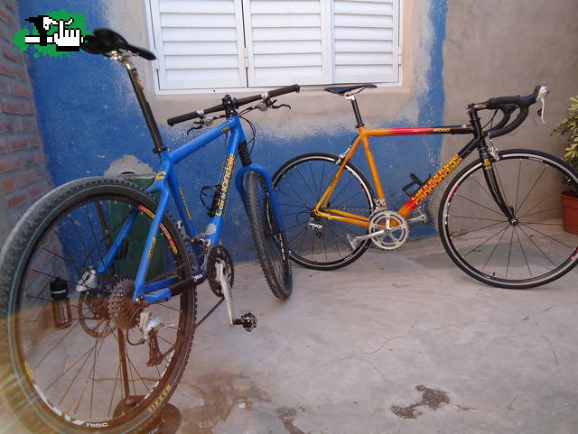 MIS CANNON!!!!!!!!!!!