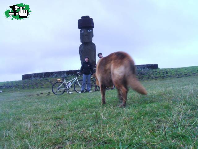 Travesía por Rapa Nui