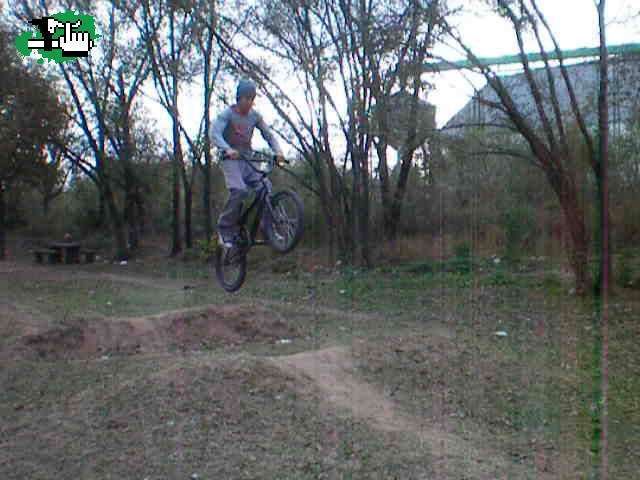 SALTANDO
