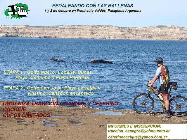 pedaleando con las ballenas 