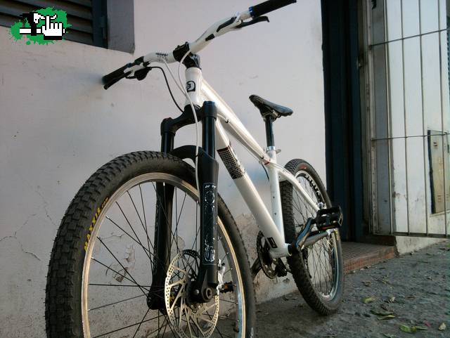 mocho03