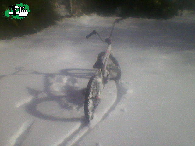 CHE HAY NIEVE!!! ENTONCES SALGAMOS  A ANDAR!!!!