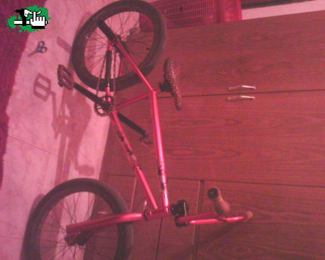 bike check