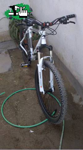 Mi nueva venzo.