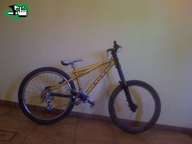 nueva adquisicion