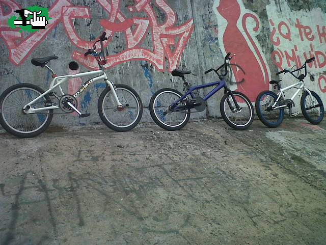 Las Chicas