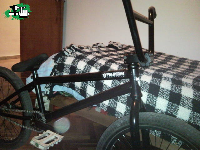 NUEVAS CALCOS
