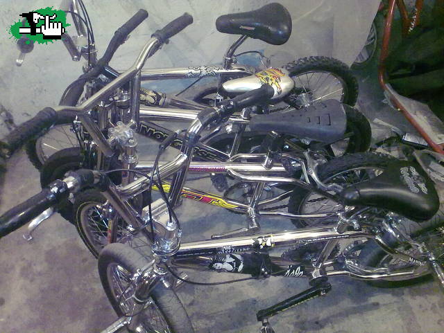 juntas,pero no revueltas xb
